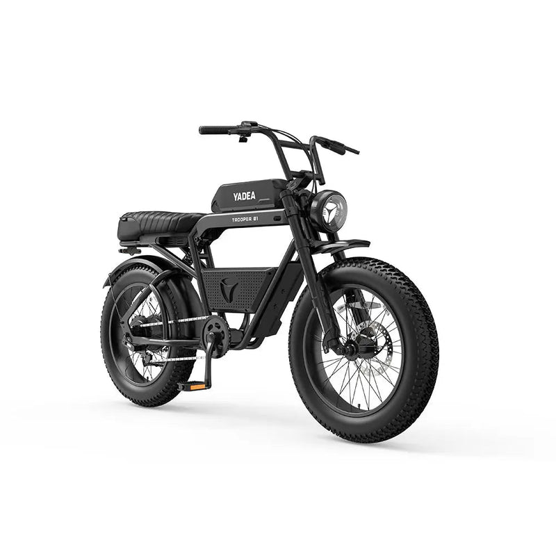 Load image into Gallery viewer, off road electric bike Troope 01
