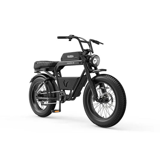 750W Comfortable Dual Suspension Ebike Trooper 01
