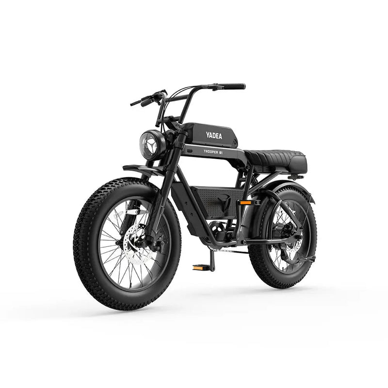Load image into Gallery viewer, 750w electric bike Troope 01

